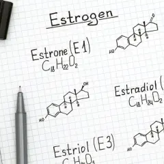 Zapiski o estrogenach: estrone, estradiol i estriol. Widoczne wzory chemiczne i formuły.