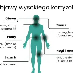 Wysoki kortyzol objawia się mgłą mózgową, otyłością brzuszną, "twarzą księżycowatą" i garbkiem tłuszczowym na karku.