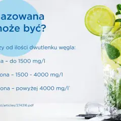 Szklanka orzeźwiającej wody gazowanej z limonką i miętą. Czy woda gazowana jest zdrowa? Zależy od nasycenia CO2.