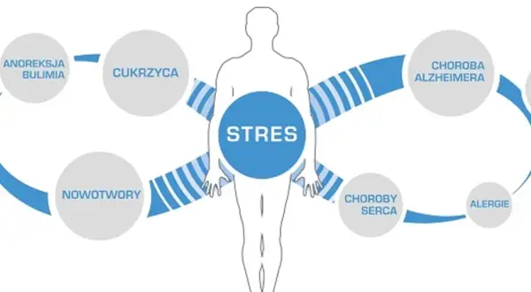 Stres jako źródło chorób cywilizacyjnych: cukrzyca, nowotwory, choroby serca, alergie, otyłość, choroba Alzheimera, anoreksja, bulimia, hipowitaminoza.