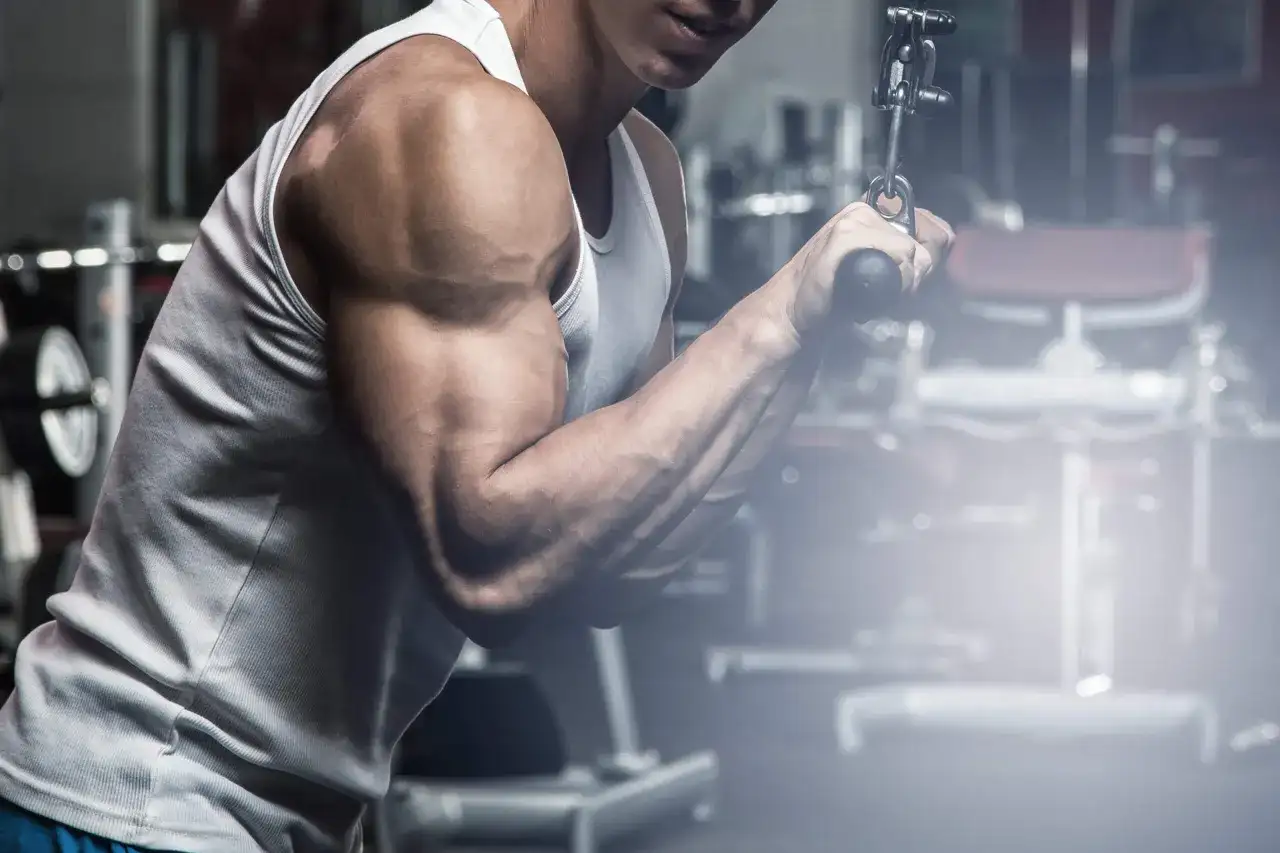 Triceps - budowa, funkcje i skuteczny trening bez błędów