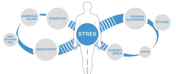 Stres jako źródło chorób cywilizacyjnych: cukrzyca, nowotwory, choroby serca, alergie, otyłość, choroba Alzheimera, anoreksja, bulimia, hipowitaminoza.