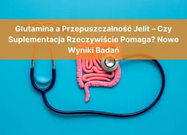 Glutamina co to? Model jelit i stetoskop na niebieskim tle. Tytuł: "Glutamina a Przepuszczalność Jelit – Czy Suplementacja Rzeczywiście Pomaga? Nowe Wyniki Badań".