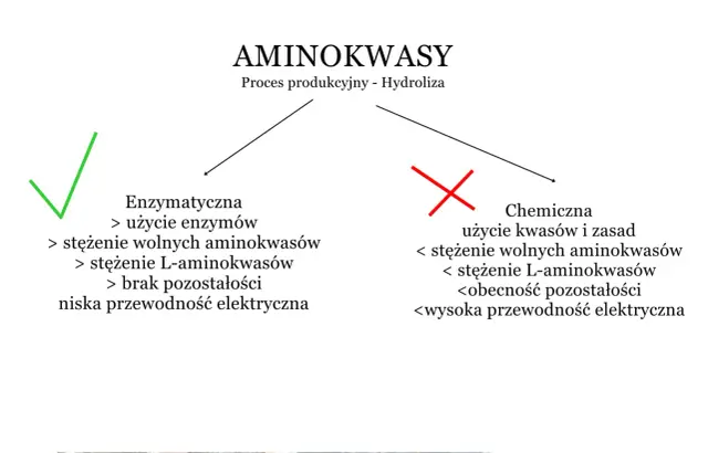 Aminokwasy dla aktywnych - które wybrać i kiedy?